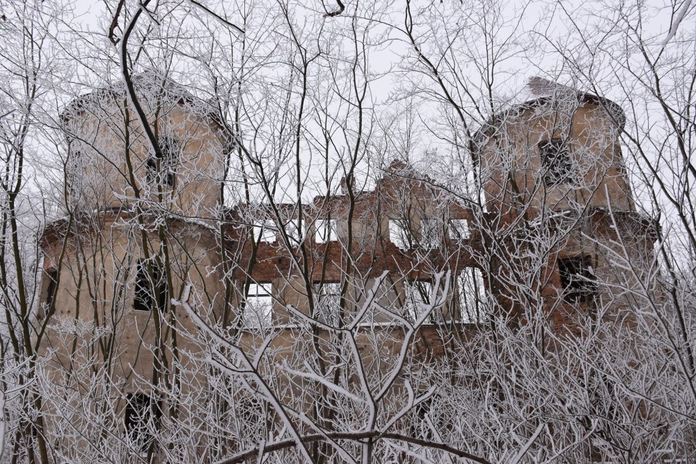 Ruiny pałacu w Osieku